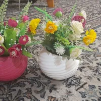 گلدان بزرگ همراه با گل ۶۰۰تومن تخفیف داره|گل و گیاه طبیعی|شیراز, کوی زهرا|دیوار