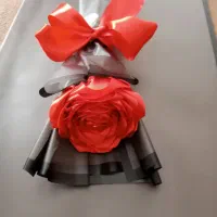 گل رز