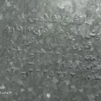 قفس سهره غلامی|لوازم جانبی حیوانات|فسا, |دیوار