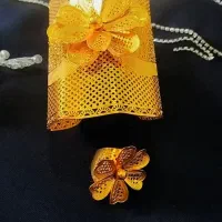 بدلیجات
