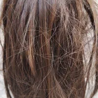 کلاه گیس و پوستیژ کلیپسی|آرایشی، بهداشتی، درمانی|بروجرد, |دیوار