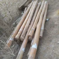 خ ریدچوببالاترین قیمت چوب خشک و تر|خدمات باغبانی و درختکاری|خرمدره, |دیوار