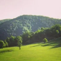 علف تراشی با دستگاه سریعترین زمان