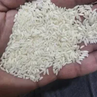 برنج سونامسوری شبیه عنبر بو|عمده‌فروشی|شادگان, |دیوار