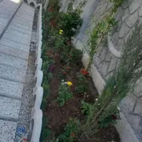 باغبان سیار به تمام نقاط تهران فقط یک تماس|خدمات باغبانی و درختکاری|تهران, سعادت‌آباد|دیوار