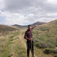 عسل صد درصد طبیعی به شرط|خوردنی و آشامیدنی|طبس, |دیوار