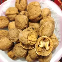 گردو پرمغز