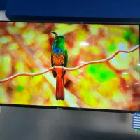 تلوزیون ۵۵ اسنوا