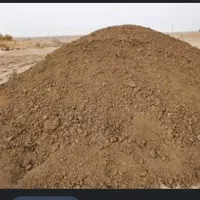 کود حیوانی|خدمات باغبانی و درختکاری|ساوه, |دیوار