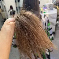 فقط 198تومان موخوره گیری+پروتئین احیاسرد+کات لیزری|خدمات آرایشگری و زیبایی|تهران, شمشیری|دیوار