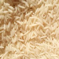 برنج طارم هاشمی کشت دوم