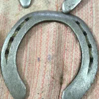 نعل اسب|اسب و تجهیزات اسب‌سواری|زابل, |دیوار