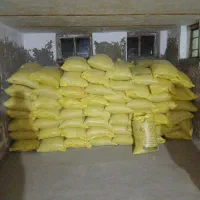 بهترین  و مرغوب ترین گندم دیم|عمدهفروشی|اشترینان, |دیوار