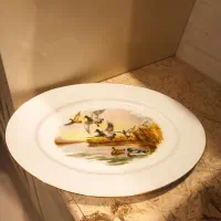 دیس قدیمی نو