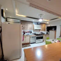 همخانه خانم موجه