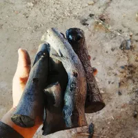 فروش ذغال|عمده‌فروشی|تخت سلیمان, |دیوار