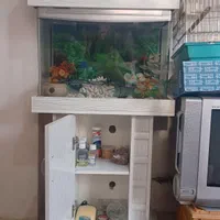 آکواریوم شیشه خم پرشین آکواریوم