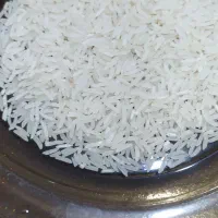 برنج|خوردنی و آشامیدنی|رامیان, |دیوار