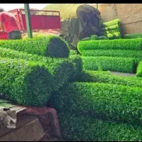 فنس چمنی|حراج|مریوان, |دیوار