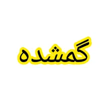 گمشده دوچرخه ۲۶