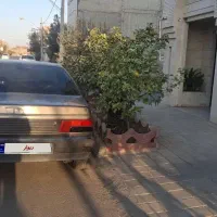 پژو روآ دوگانه سوز|خودرو سواری و وانت|کاشان, قطب راوندی|دیوار