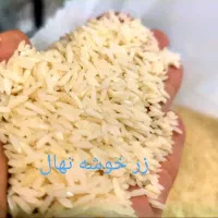 برنج طارم هاشمی اعلا از شالیزارهای شمال|خوردنی و آشامیدنی|رودهن, |دیوار