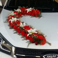 اجاره ماشین شاستی با تزیین ماشین عروس|گل و گیاه طبیعی|قم, نیروگاه|دیوار