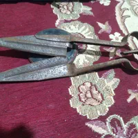 قیچی اصلا گوسفند