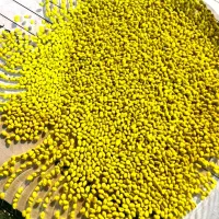 بذر تخم یونجه NBT|عمده‌فروشی|اهواز, ۳۰ متری|دیوار