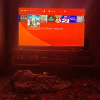 اجاره پی ای فور