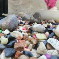 آکواریوم شرکتیJEBO