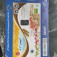 استخدام تعدادی نیروی کار