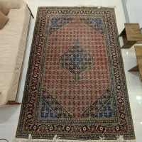 فرش دست بافت 6 متری|فرش|تالش, تالش|دیوار