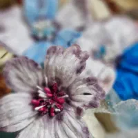 گل فروشی kardalan.online.flowers|گل و گیاه طبیعی|سراب, |دیوار