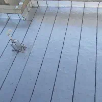 اجرای ونصب ایزوگام قیرگونی وآسفالت|خدمات پیشه و مهارت|تهران, ابوذر|دیوار