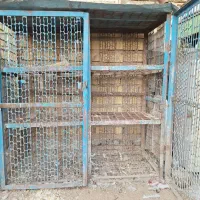 قفس مرغ خروس|لوازم جانبی حیوانات|شیراز, رکنآباد|دیوار