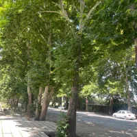 زمین-تجاری-داخل-بافت-تهراندشت-سرخاب-سعیداباد