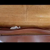 کیف چرم|کیف، کفش، کمربند|رشت, خبرنگار|دیوار