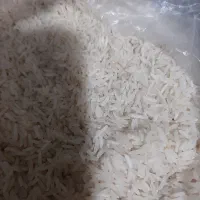 طارم دم سیاه شمال بسیار خوش پخت