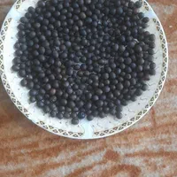 فروش‌دانه‌های‌یئسر‌برای‌تسبیح اصل‌اصل|فعالیت داوطلبانه|رشت, پیرکلاچای|دیوار