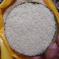 برنج هاشمی درجه یک
