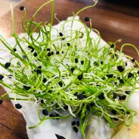 بذر پیاز سفید محلی|عمده‌فروشی|گرگان, |دیوار