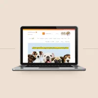 طراحی سایت و اپلیکیشن حرفه ای نقد و اقساط|خدمات رایانه‌ای و موبایل|شیراز, زرهی|دیوار