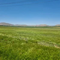 ملوسجان-جنب-چشمه-اصلی