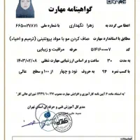 مدرک دیپلم و شهید بهشتی|خدمات آموزشی|تهران, استاد معین|دیوار