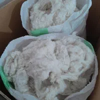 پنبه|آرایشی، بهداشتی، درمانی|گنبد کاووس, |دیوار