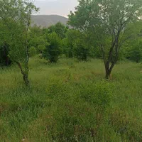 باغ ثمری1000متری خفر|فروش زمین و ملک کلنگی|شیراز, بازار|دیوار