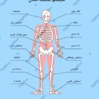 آموزش ماساژ