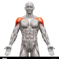 طراحی برنامه های بدنسازی افزایش و کاهش وزن