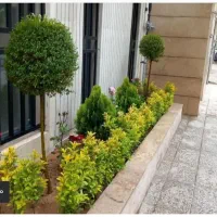 خدمات باغبانی احمدی سرویس به تمام نقاط تهران